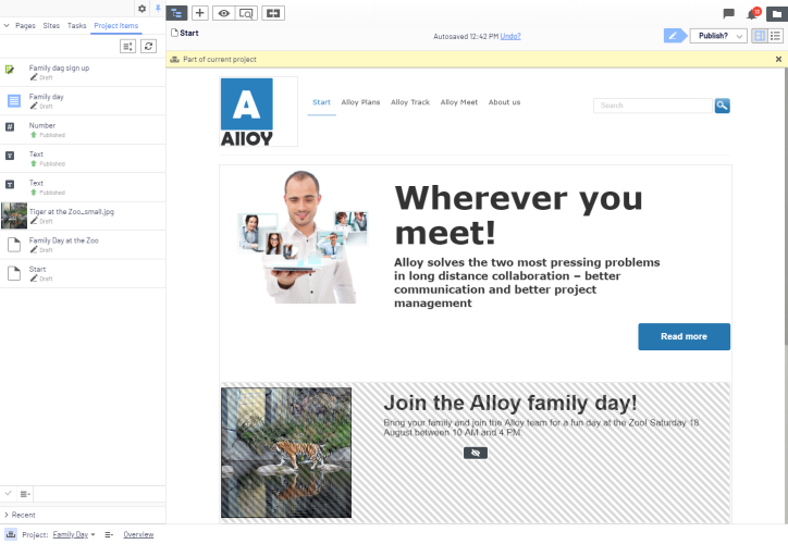 Image: Project items in navigation pane