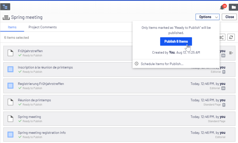 Image: Publishing all items in project