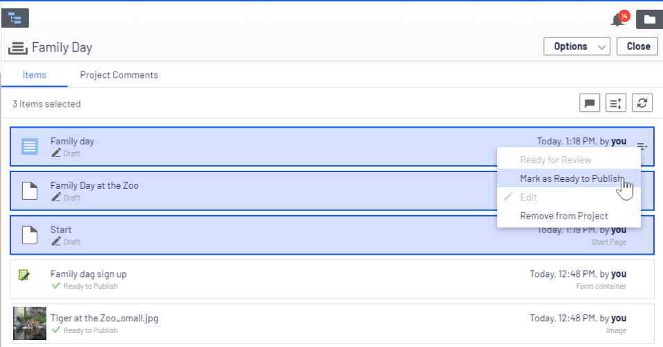Image: Selecting multiple items in project overview